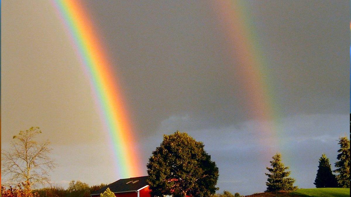 Gökkuşağı Hakkında Pek Duymadığımız 8 Bilgi: Eğer Havadan Baksaydınız Alıştığınızdan Çok Farklı Bir Manzarayla Karşılaşacaktınız!