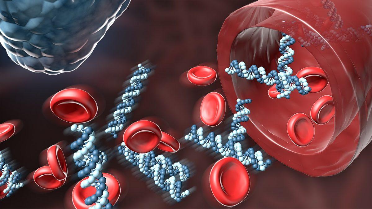 Tükettiğimiz Besinlerin Enerjiye Dönüşmesini Sağlayan ALT Enzimi Yükseldiğinde ve Düşüklüğünde Ne Yaşarız?