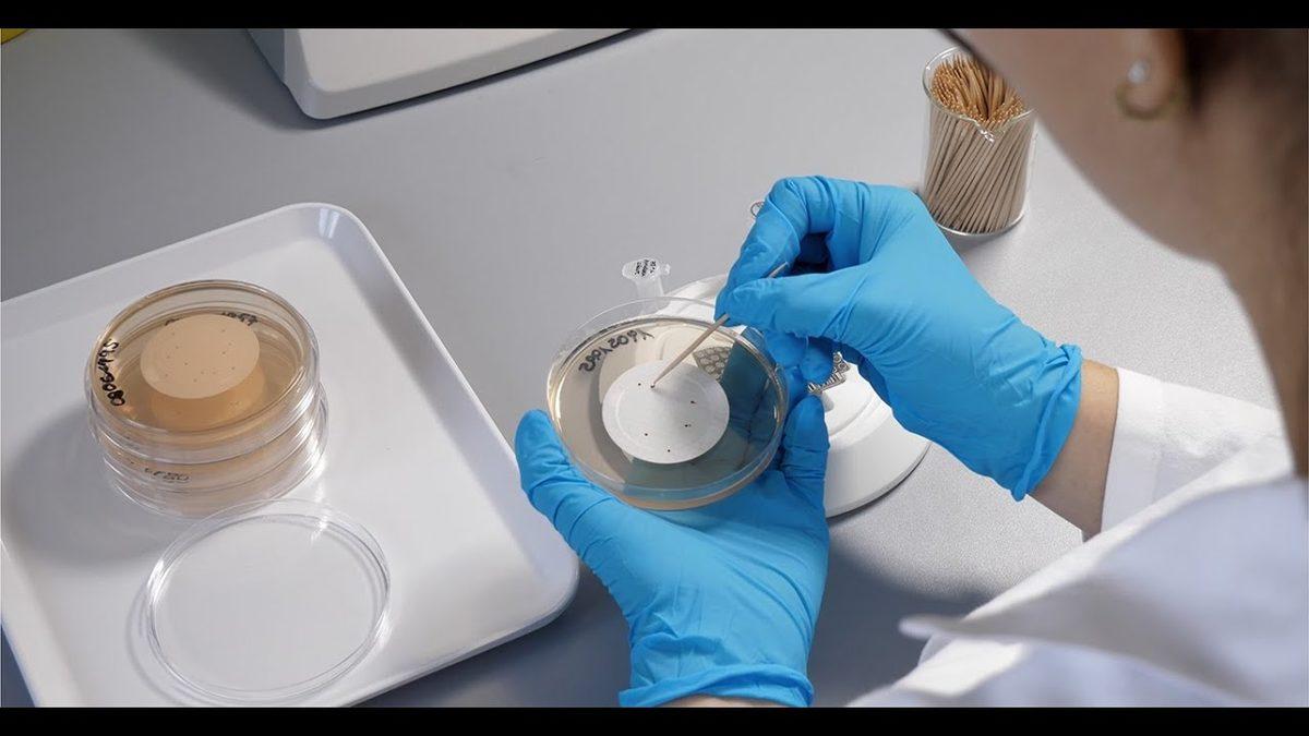 Avrupa’da Satılan Köpek Mamalarında İnsan Sağlığını Tehdit Eden Bakteriler Bulundu