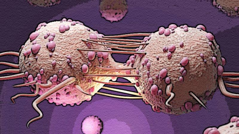 Kanser Hücrelerini Öldüren Virüs Geliştirildi: Tümörü Tamamen Yok Etti!