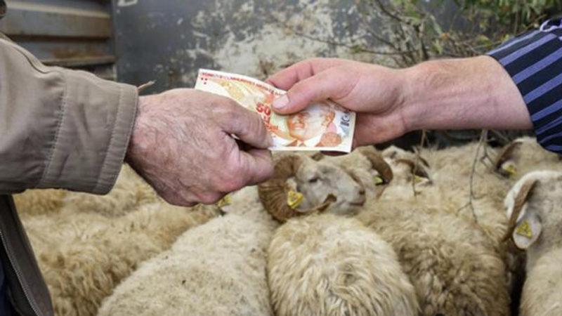 Kurban Bayramı Tatilinin Kaç Gün Olacağı, Yarınki Kabine Toplantısında Konuşulacak