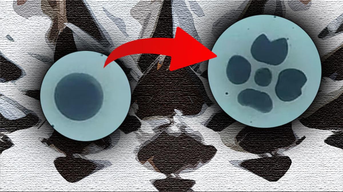 Şekil Değiştirip Bölünebilen ’Sıvı Robot’ Geliştirildi: Peki Bu Nasıl Mümkün?