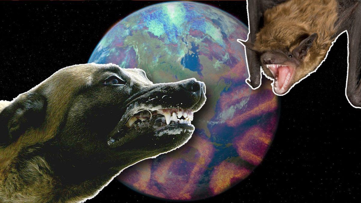 Kuduza Yakalanan Biri Su Görünce Neden Bu Kadar Çok Korkar?