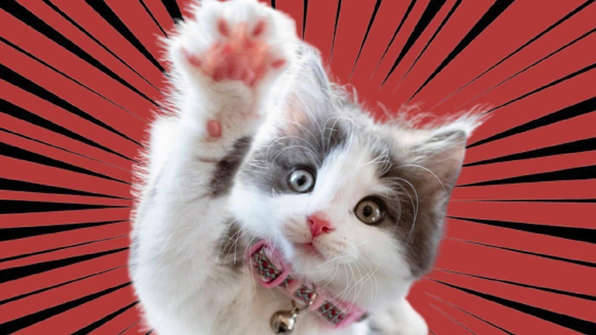 Kuduza Yakalanan Biri Su Görünce Neden Bu Kadar Çok Korkar?