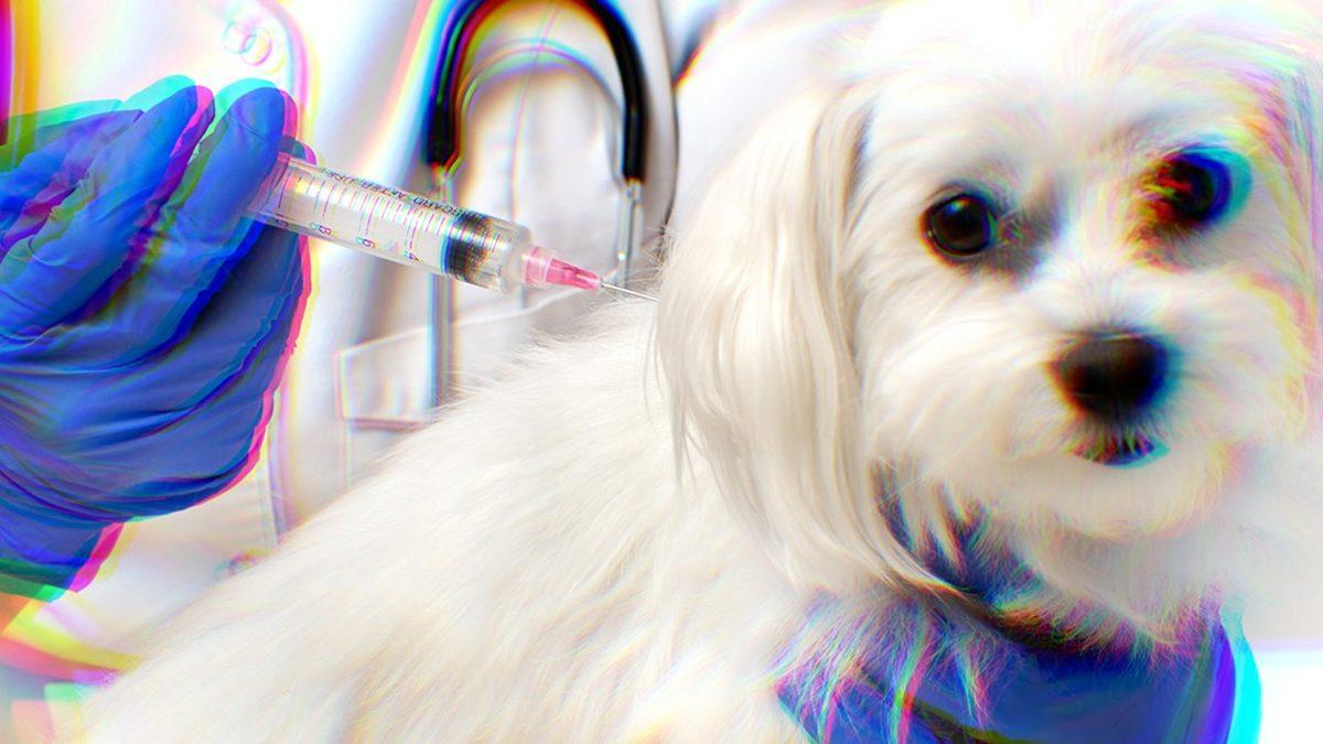 Kuduza Yakalanan Biri Su Görünce Neden Bu Kadar Çok Korkar?