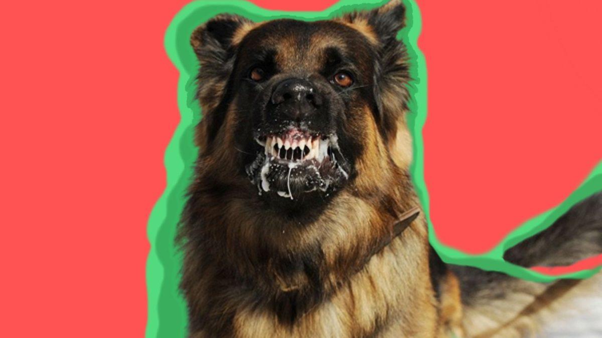 Kuduza Yakalanan Biri Su Görünce Neden Bu Kadar Çok Korkar?