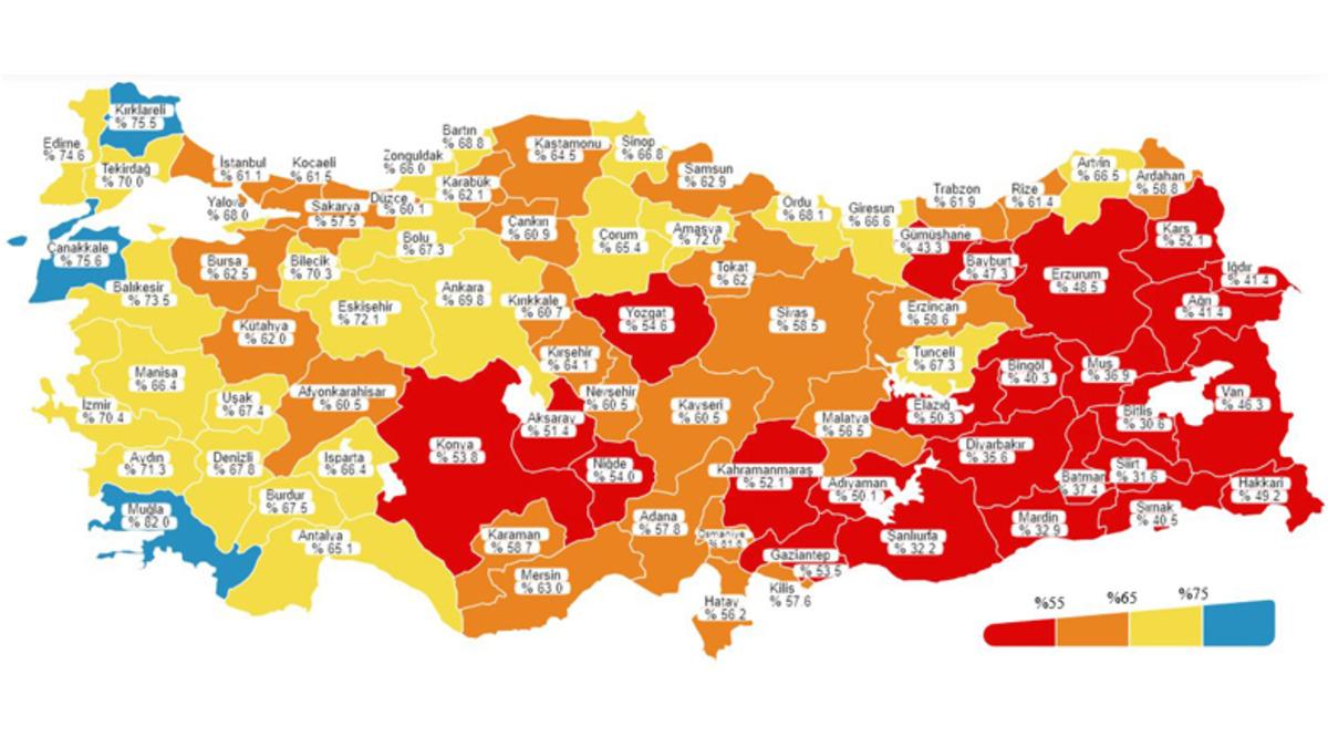 Sağlık Bakanı, İllere Göre Aşılama Oranlarını Gösteren Yeni Haritayı Paylaştı