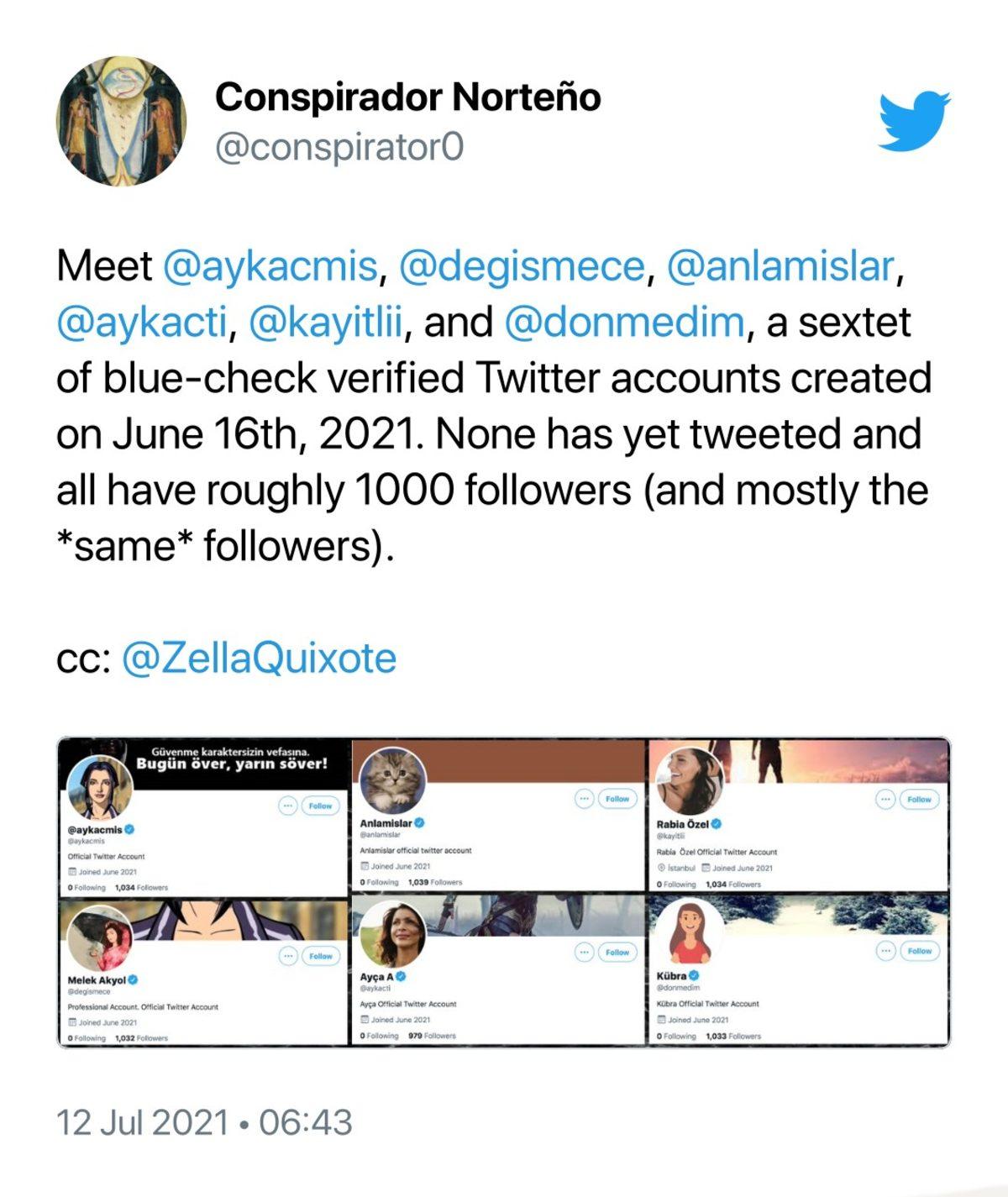 Twitter’ın Tek Bir Tweet Atmamalarına Rağmen 6 Türk Sahte Hesaba Mavi Tik Verdiği Ortaya Çıktı