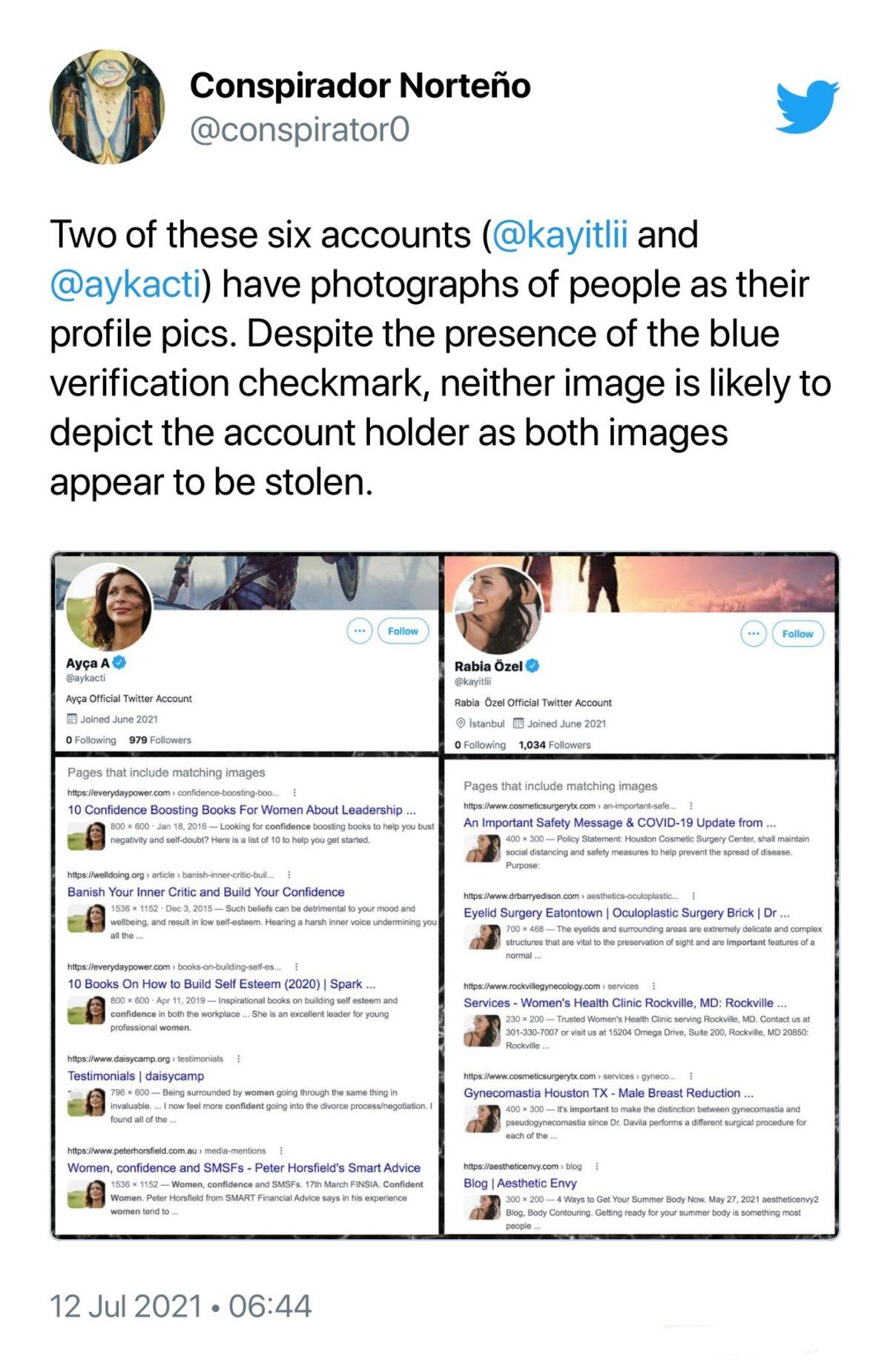 Twitter’ın Tek Bir Tweet Atmamalarına Rağmen 6 Türk Sahte Hesaba Mavi Tik Verdiği Ortaya Çıktı