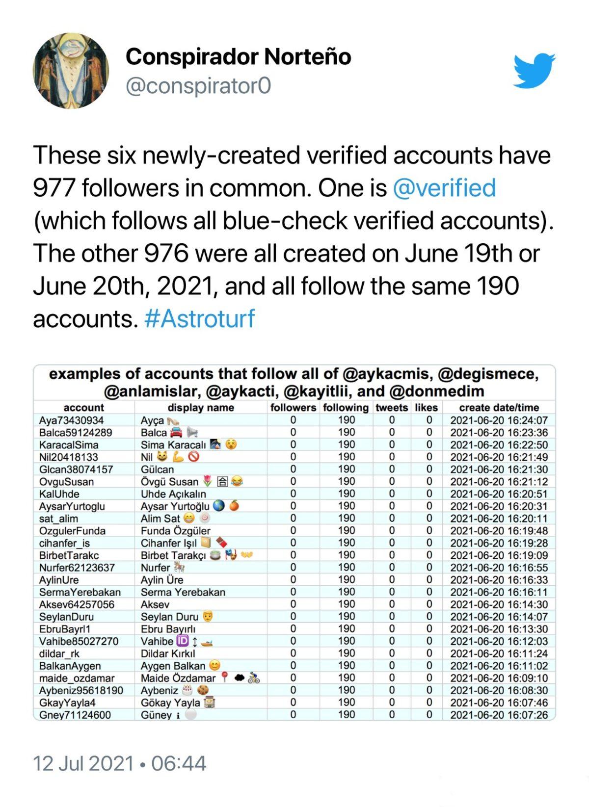 Twitter’ın Tek Bir Tweet Atmamalarına Rağmen 6 Türk Sahte Hesaba Mavi Tik Verdiği Ortaya Çıktı