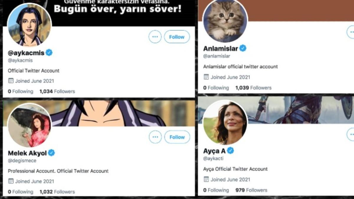 Twitter’ın Tek Bir Tweet Atmamalarına Rağmen 6 Türk Sahte Hesaba Mavi Tik Verdiği Ortaya Çıktı