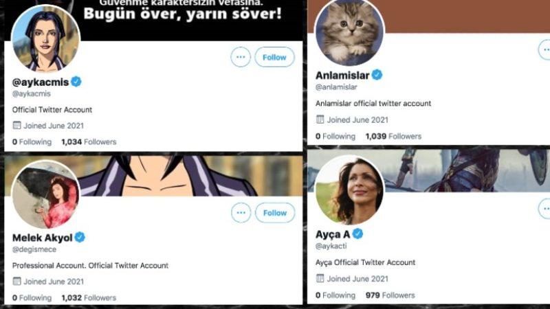Twitter’ın Tek Bir Tweet Atmamalarına Rağmen 6 Türk Sahte Hesaba Mavi Tik Verdiği Ortaya Çıktı
