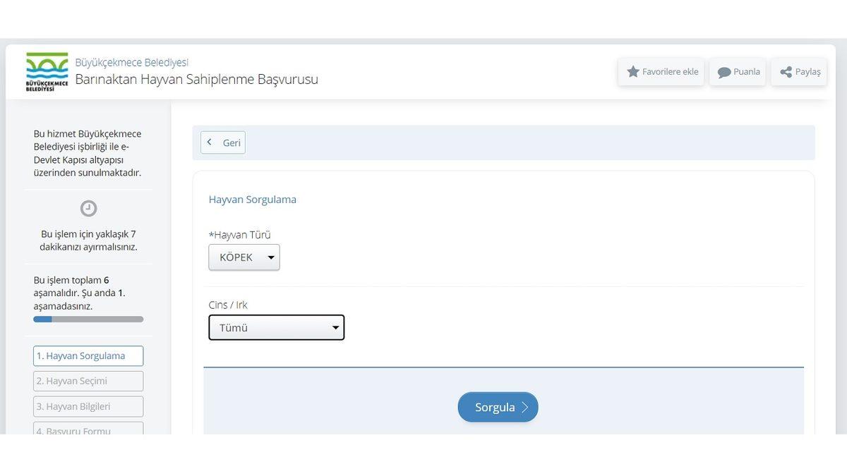 e-Devlet Üzerinden Nasıl Hayvan Sahiplenilir?