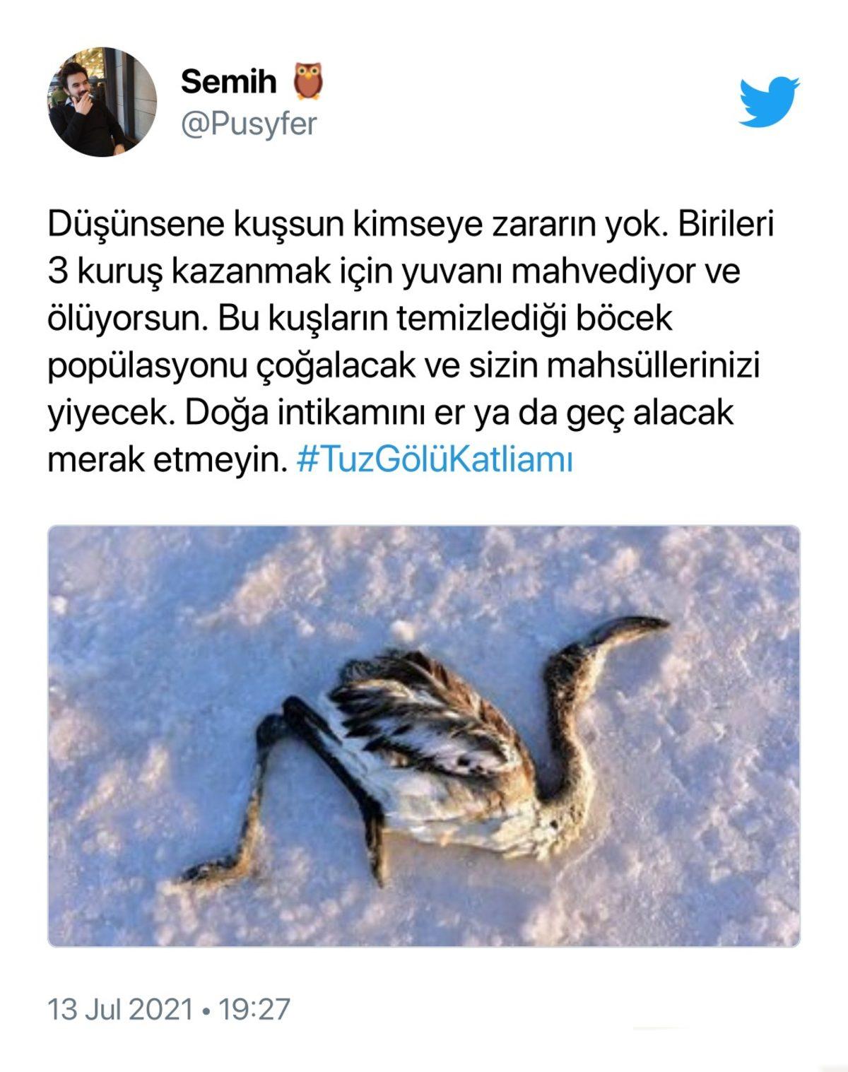 Binlerce Flamingonun Öldüğü Tuz Gölü Katliamı İçin Sosyal Medyada Yapılan Paylaşımlar