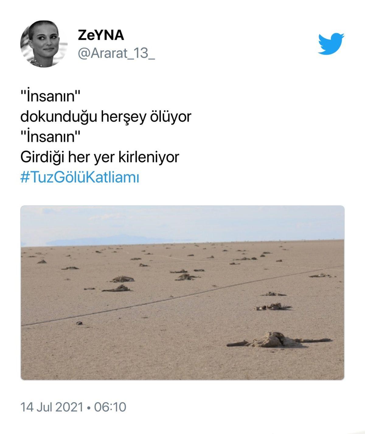 Binlerce Flamingonun Öldüğü Tuz Gölü Katliamı İçin Sosyal Medyada Yapılan Paylaşımlar