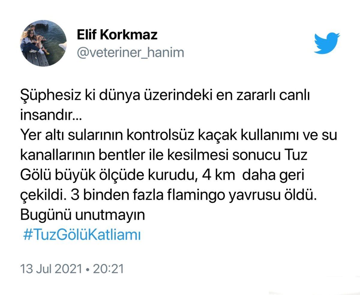 Binlerce Flamingonun Öldüğü Tuz Gölü Katliamı İçin Sosyal Medyada Yapılan Paylaşımlar