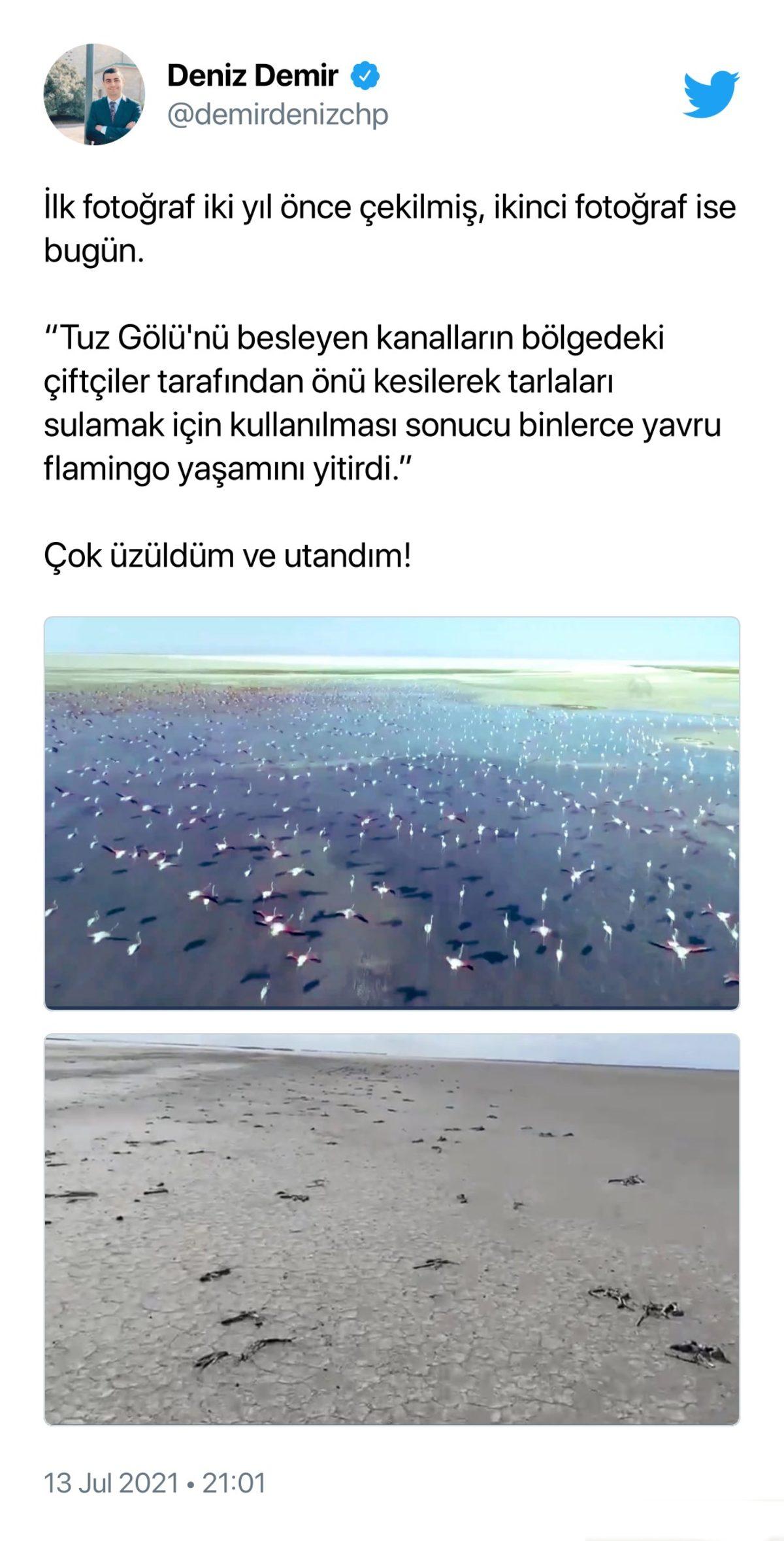 Binlerce Flamingonun Öldüğü Tuz Gölü Katliamı İçin Sosyal Medyada Yapılan Paylaşımlar