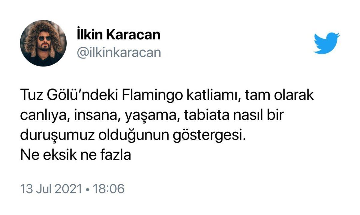 Binlerce Flamingonun Öldüğü Tuz Gölü Katliamı İçin Sosyal Medyada Yapılan Paylaşımlar