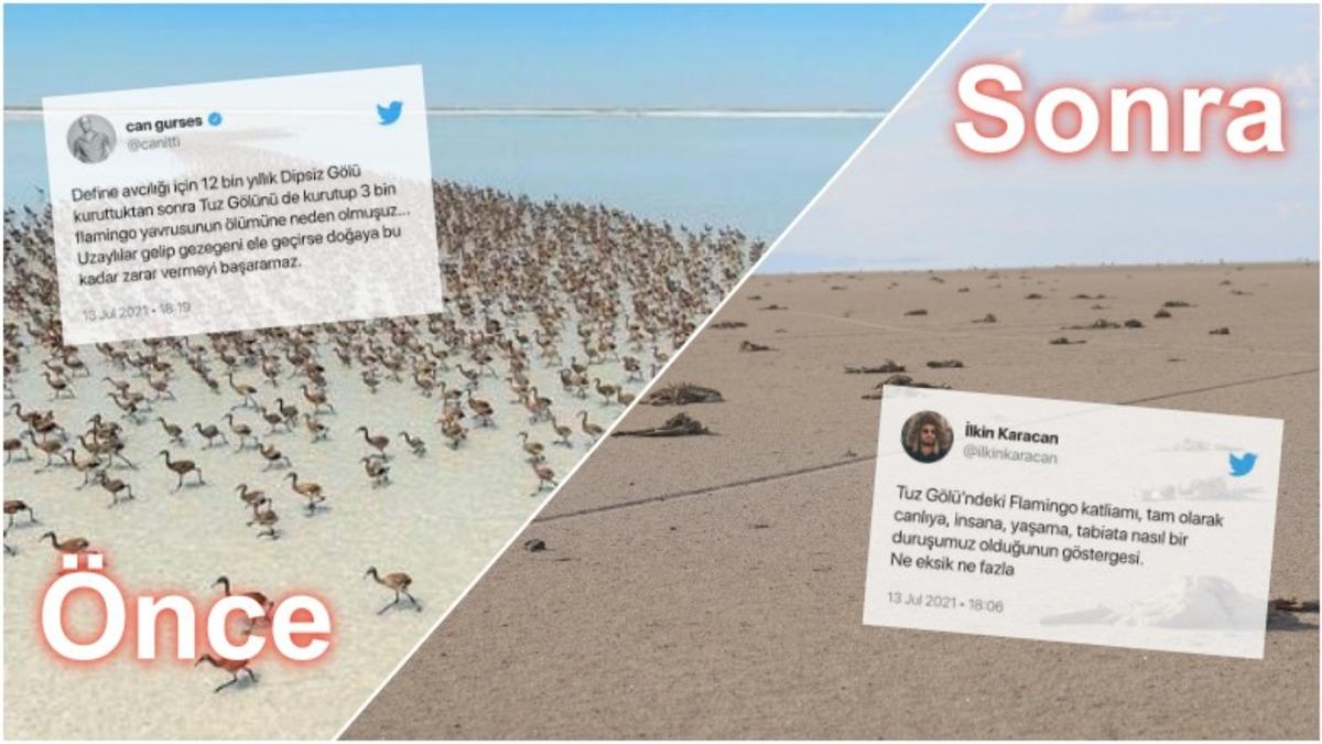 Binlerce Flamingonun Öldüğü Tuz Gölü Katliamı İçin Sosyal Medyada Yapılan Paylaşımlar