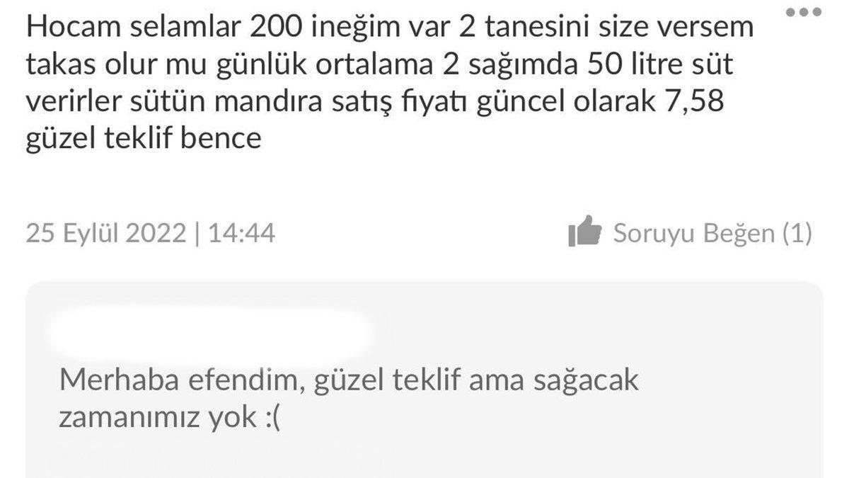 Rüyasını Görmenin Bile Pahalı Olduğu iPhone 14 İçin İnternet Satıcılarına Yöneltilen Birbirinden İlginç Sorular