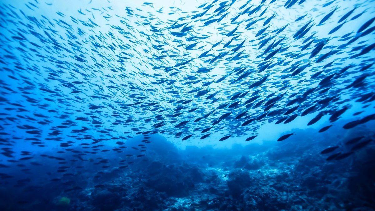 Dünya Lavlarla Kaplıyken Nasıl Oldu da Denizler ve Okyanuslar Oluştu?