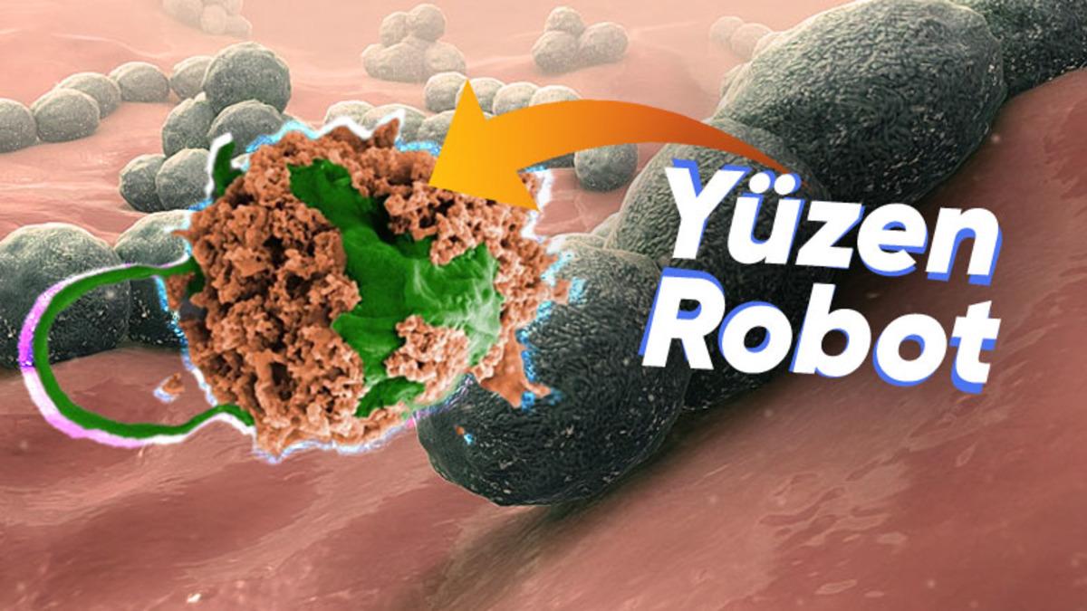 Vücuda Enjekte Edilen ’Mikroskobik Robot Sürüsü’ ile Akciğer İltihabı Başarılı Şekilde Tedavi Edildi