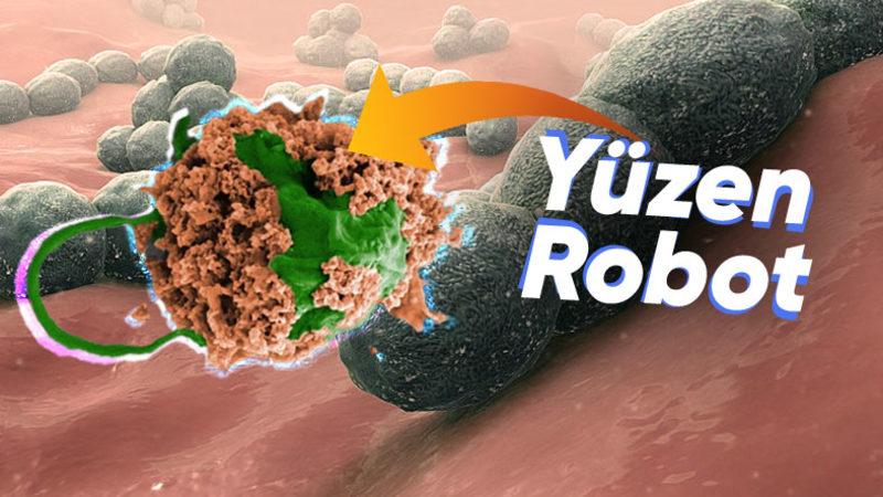 Vücuda Enjekte Edilen ’Mikroskobik Robot Sürüsü’ ile Akciğer İltihabı Başarılı Şekilde Tedavi Edildi