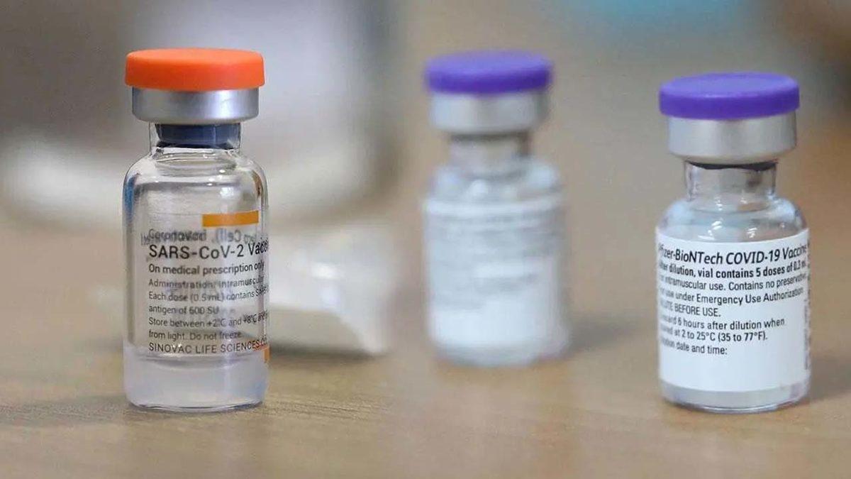 BioNTech ve Sinovac Aşılarının Oluşturduğu Antikor Miktarı Belli Oldu: Arada 10 Kat Fark Var