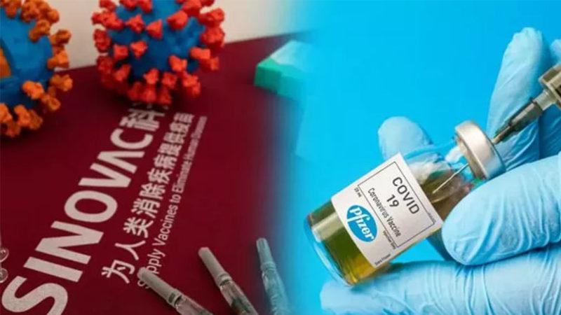 BioNTech ve Sinovac Aşılarının Oluşturduğu Antikor Miktarı Belli Oldu: Arada 10 Kat Fark Var