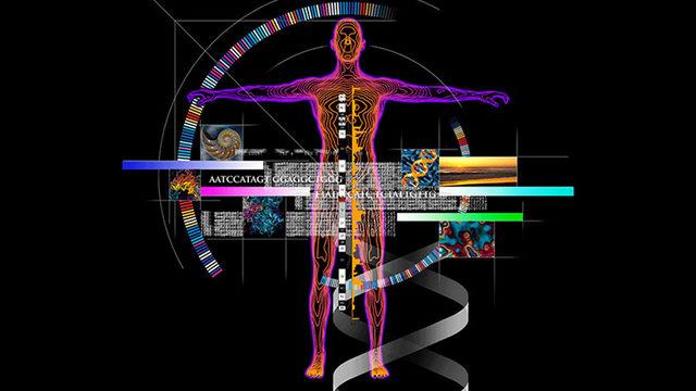 Çok da Özel Değilmişiz: DNA’mızın Sadece %7’sinin ’Modern İnsana Özgü’ Olduğu Tespit Edildi