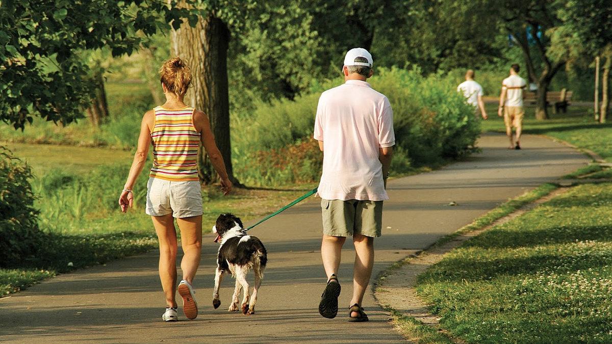 Açık Havada Zaman Geçirmenin Beyin Üzerinde Olumlu Etkileri Olduğu Keşfedildi