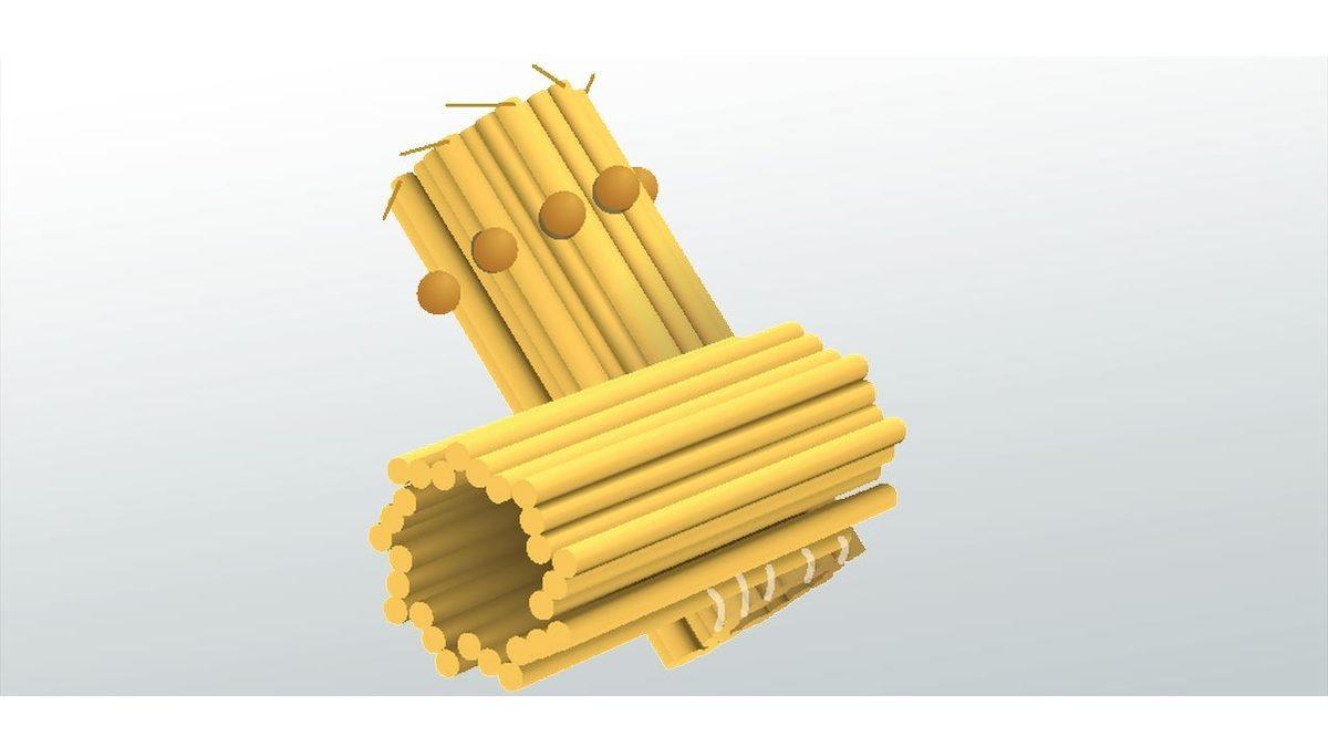 Canlı Yaşamının Devamlılığını Sağlayan Sentriyol Nedir, Ne İşe Yarar?