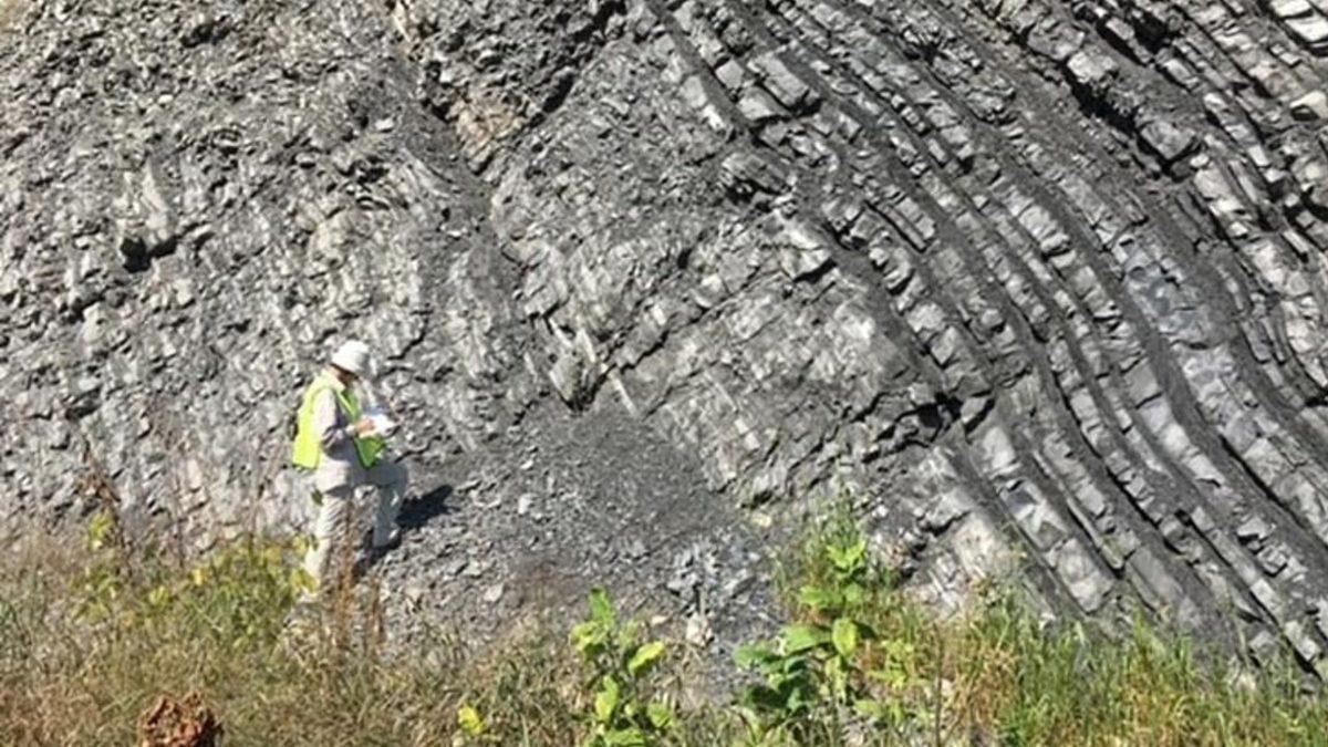 Bitkilerin 400 Milyon Yıl Önce Okyanustan Karaya Çıkması, Tüm İklimleri Değiştirmiş