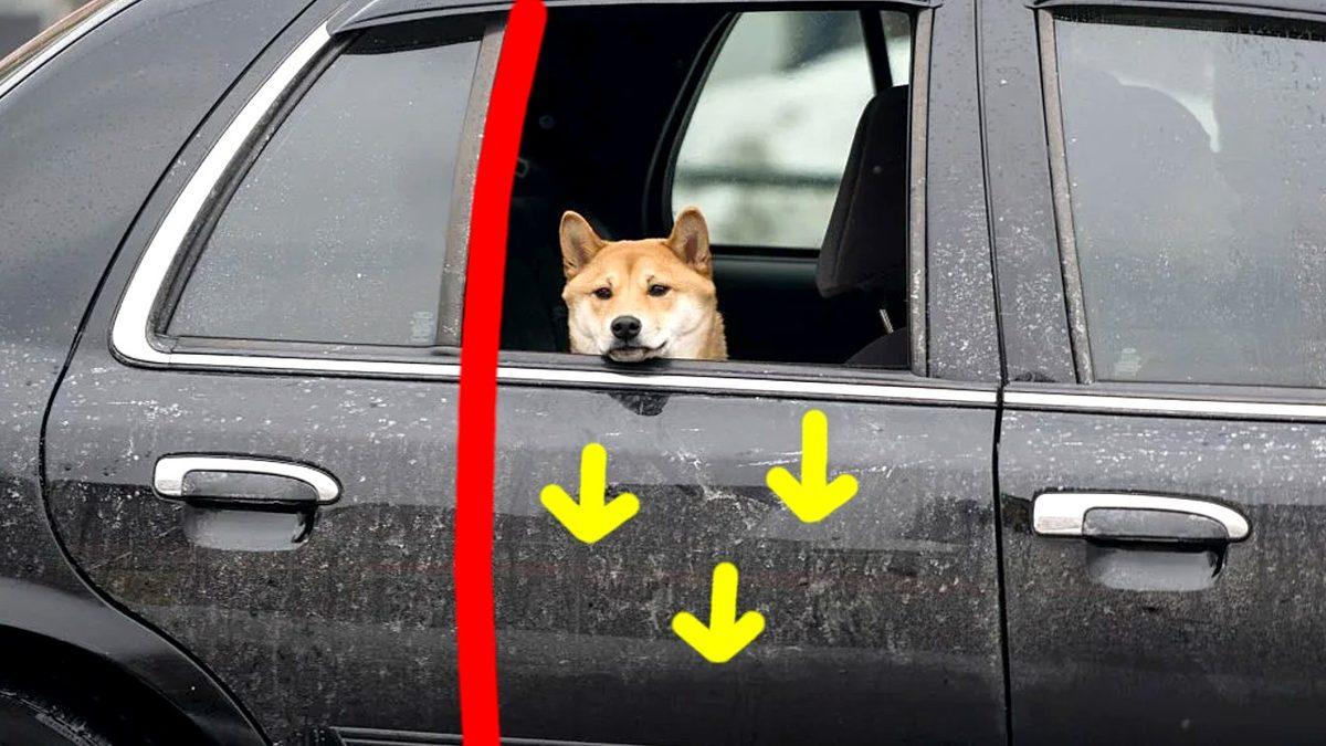 Bazı Arabaların Arka Camları Neden Tam Açılmaz? (Güvenlikle İlgisi Yok)