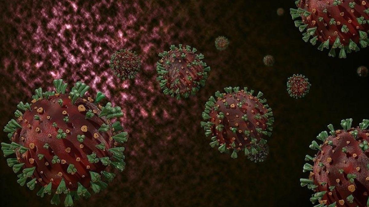 Türk Tabipleri Birliği: Delta Varyantı, Aşısızların Pandemisi Olacak