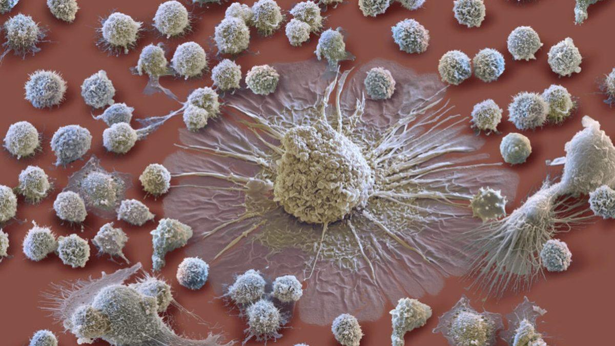 İkinci Doz COVID-19 Aşısının Hayati Öneme Sahip Olduğu Kanıtlandı