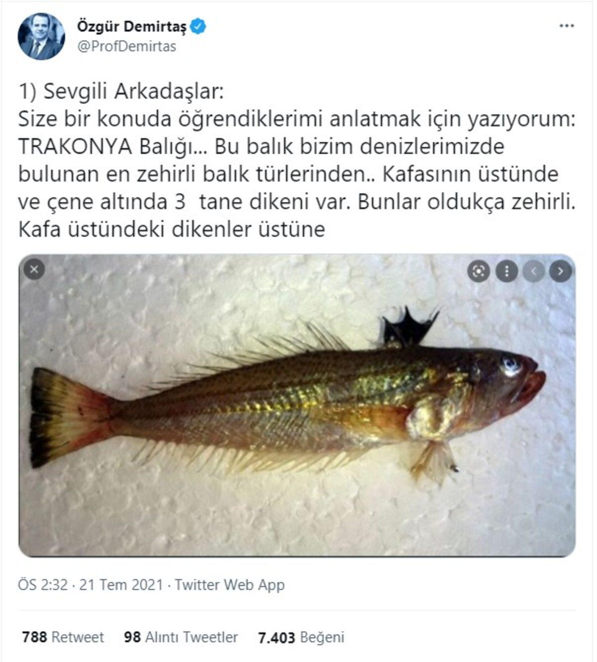 Prof. Dr. Özgür Demirtaş’ın Gündeme Getirdiği ve Oldukça Zehirli Bir Tür Olan Trakonya Balığı Nedir?