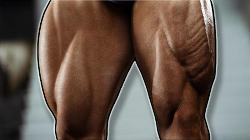 Hayati Öneme Sahip Olan ve En Küçük Bacak Hareketlerini Bile Onlar Olmadan Yapamayacağımız ’Quadriceps’ Grubu Nedir, Görevleri Ne, Nasıl Güçlendirilir?