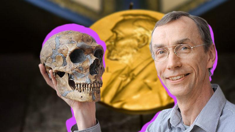 2022 Nobel Tıp Ödülü Kazananı Açıklandı! Babası da Nobel Kazanmıştı...