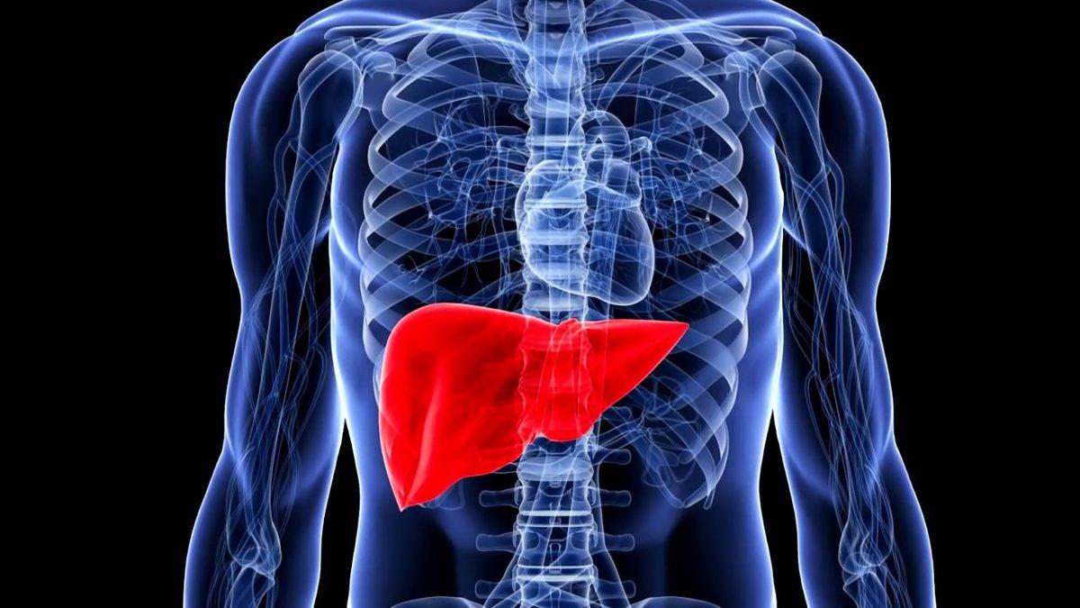Karaciğerimizin Sağlıklı Bir Şekilde Çalışıp Çalışmadığını Gösteren ’AST’ Nedir, Yüksekliği ve Düşüklüğü Ne Anlama Gelir?