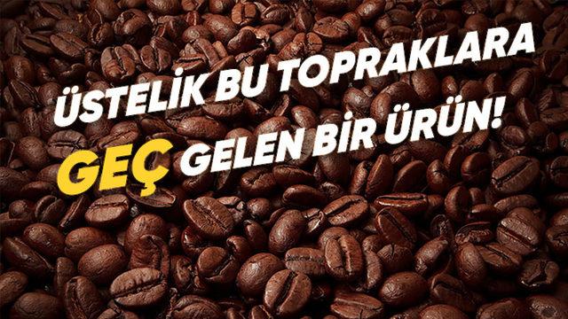 Kahverenginin Adı Kahveden Geliyorsa Kahve Olmadan Önce Bu Renge Ne Diyorduk?