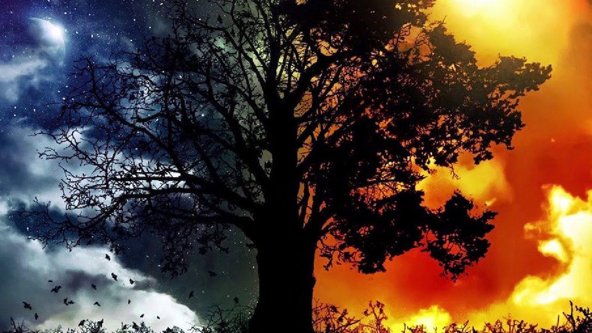 Neden Rüya Görüyoruz? Mistik Mesajlar mı, Dünya’nın Dönüşü mü?