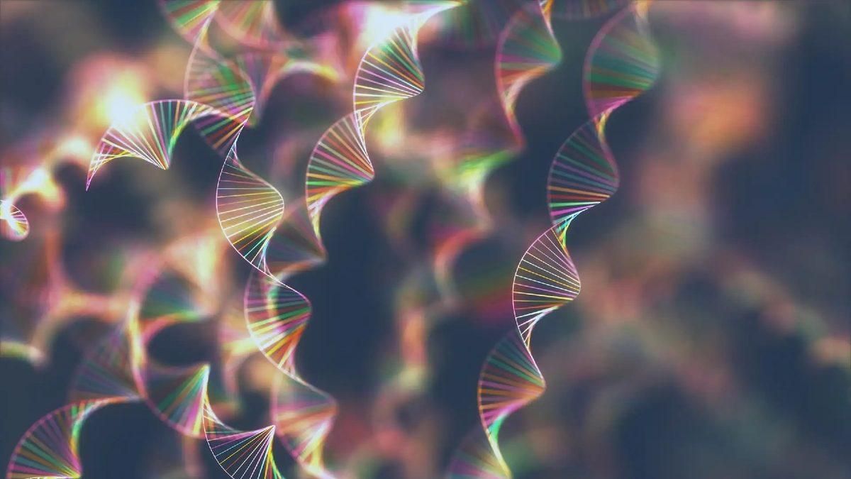 Nesilden Nesile Aktarılan Bilgiler, Genlerimizi Etkileyebilir: Peki Bu Nasıl Oluyor?