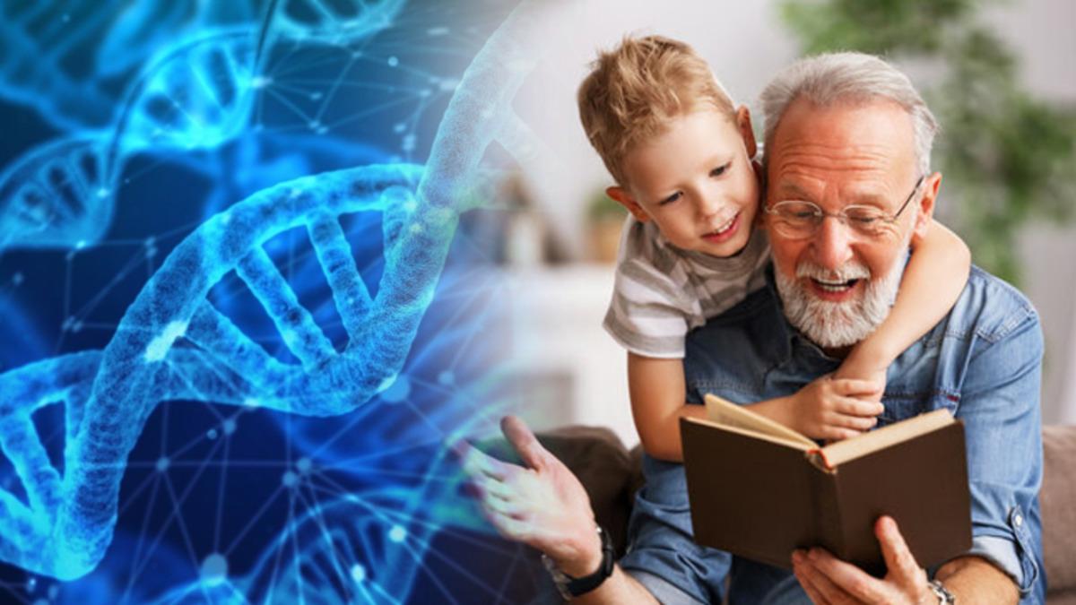 Nesilden Nesile Aktarılan Bilgiler, Genlerimizi Etkileyebilir: Peki Bu Nasıl Oluyor?