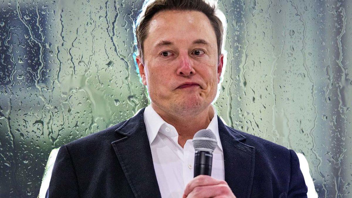 Elon Musk, Neden Twitter’ı Yeniden Satın Almaya Karar Verdi? Olayın Aslı Bambaşka...
