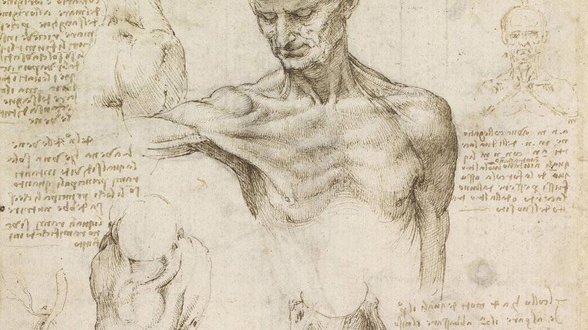 Leonardo Da Vinci Hakkında Daha Önce Duymadığınız 10 İlginç Bilgi