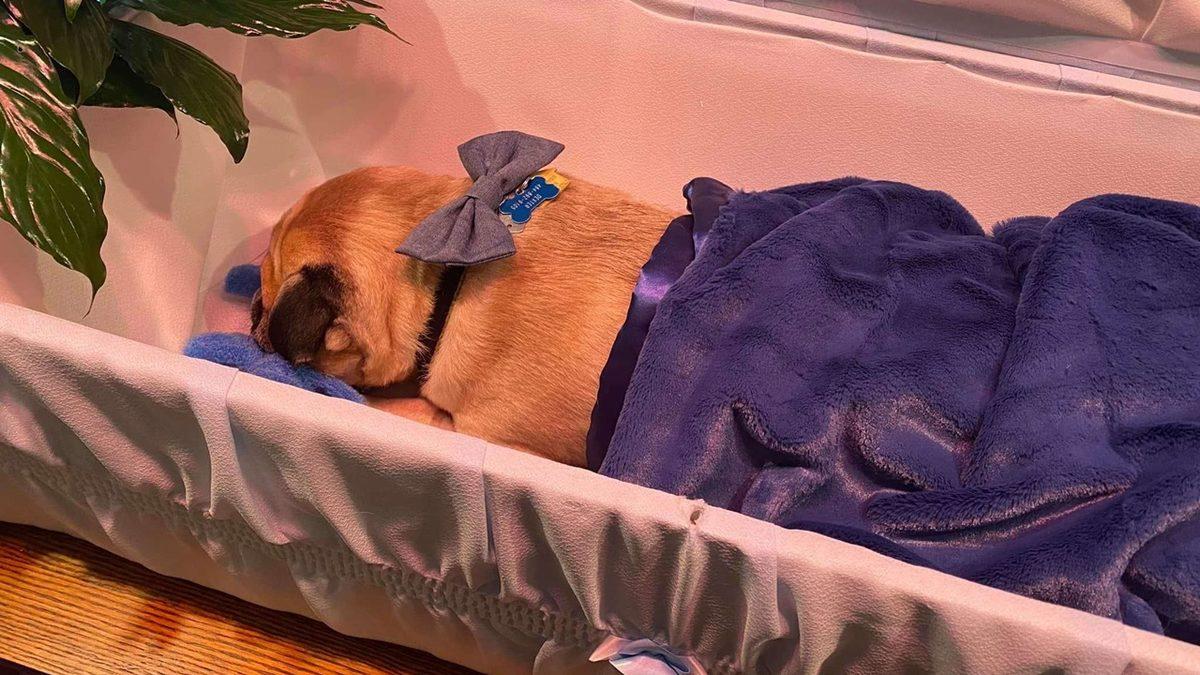 Amerikalılar Cenazelerde Tabutları Neden Açık Bırakırlar?