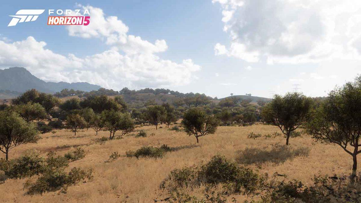 Forza Horizon 5’in Büyüleyici Manzaralar Sunan Meksika Haritasından Görüntüler