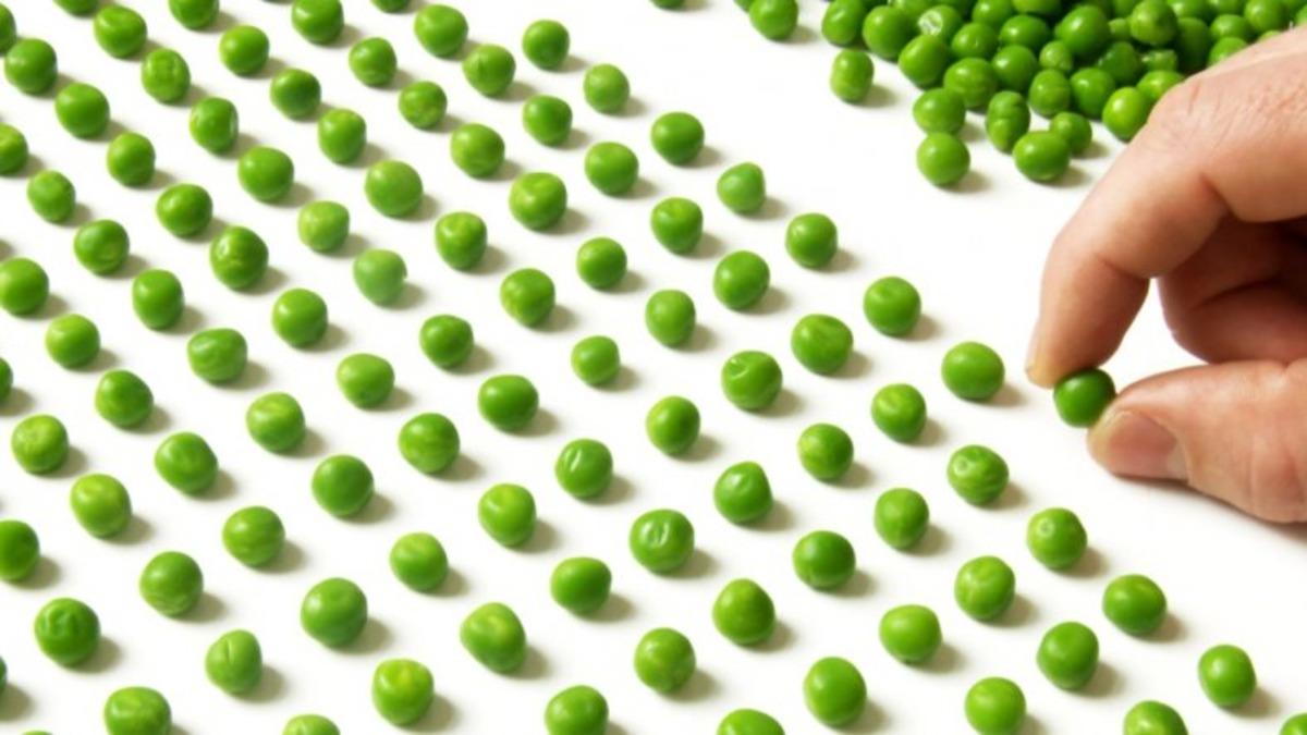 Obsesif Kompülsif Bozukluk Nedir? Belirtileri Neler? Nasıl Tedavi Edilir?