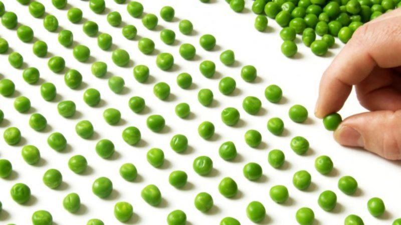 Obsesif Kompülsif Bozukluk Nedir? Belirtileri Neler? Nasıl Tedavi Edilir?